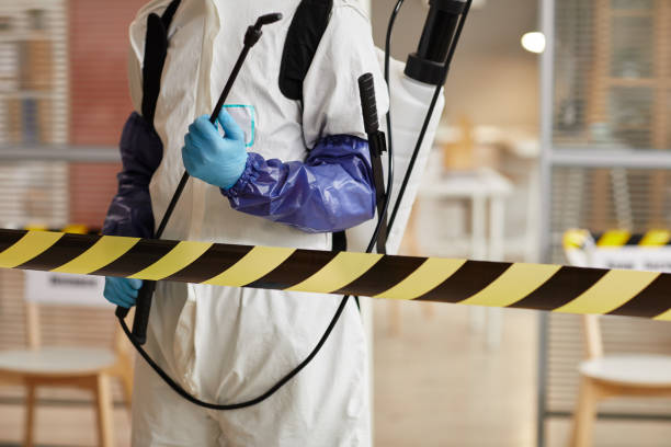 Professional Hoarding Cleanup technician working in East Andover, NH